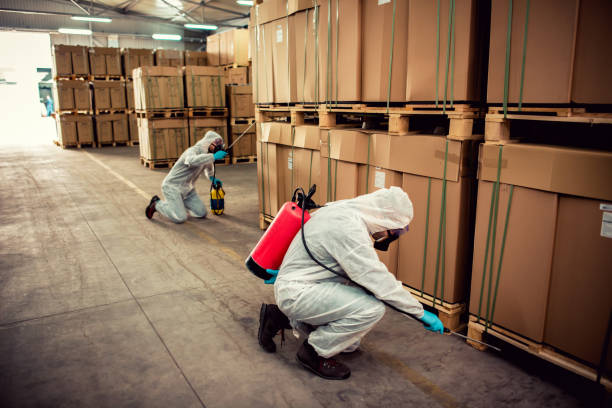Best Mosquito Control Services  in Ardmore, TN