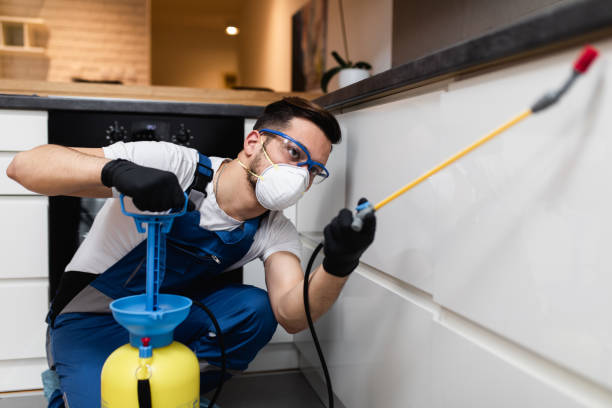 Best Residential Pest Control  in Ardmore, TN