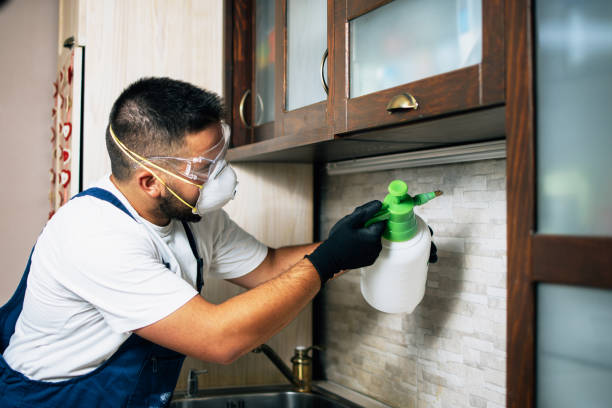 Best Emergency Pest Control  in Ardmore, TN