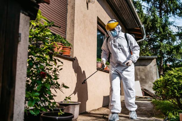 Best Wildlife Control Services  in Ardmore, TN