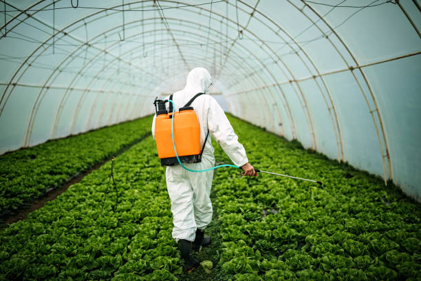 Best Pest Prevention Services  in Ardmore, TN