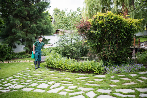 Best Ant Control Services  in Ardmore, TN