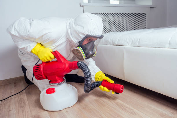 Reliable Ardmore, TN Pest Control Solutions