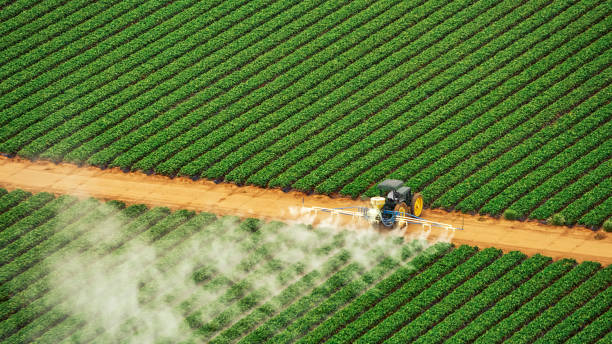 Best Pest Prevention Services  in Ardmore, TN