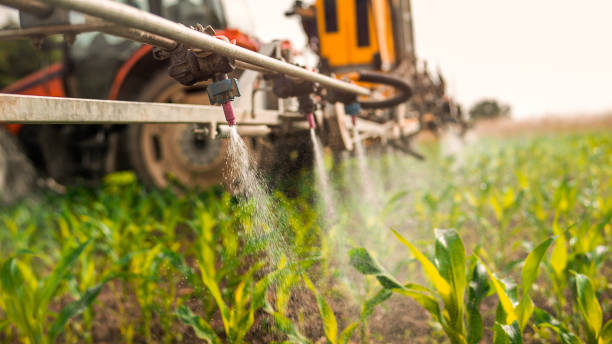Best Commercial Pest Control Services  in Ardmore, TN