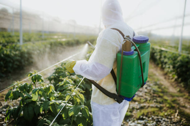  Ardmore, TN Pest Control Pros